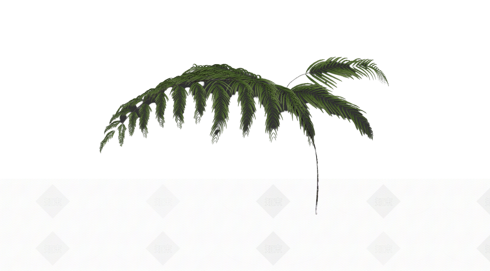 绿色枝叶植物模型3D模型下载【ID:1206181914】