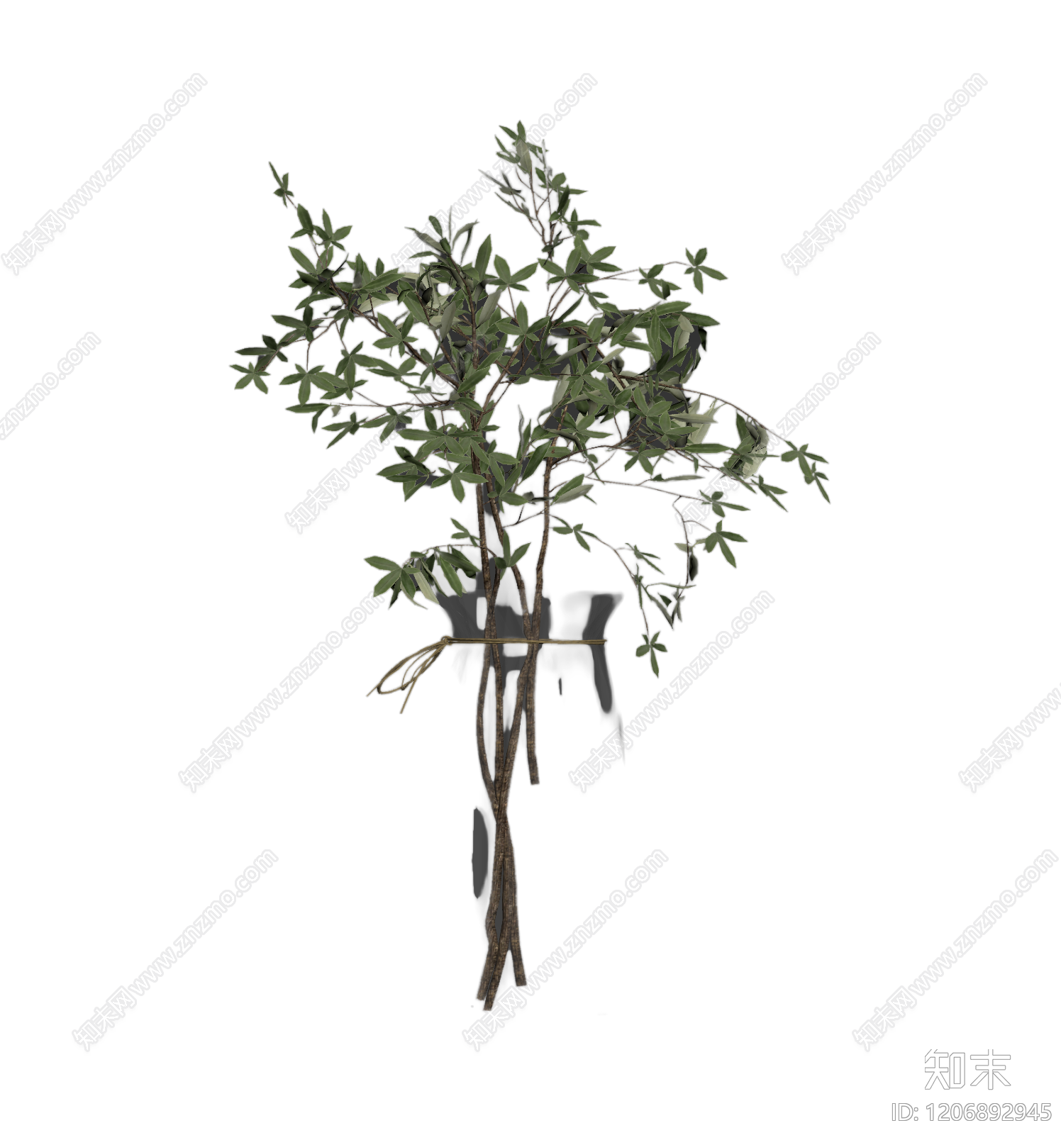 盆栽植物装饰3D模型下载【ID:1206892945】