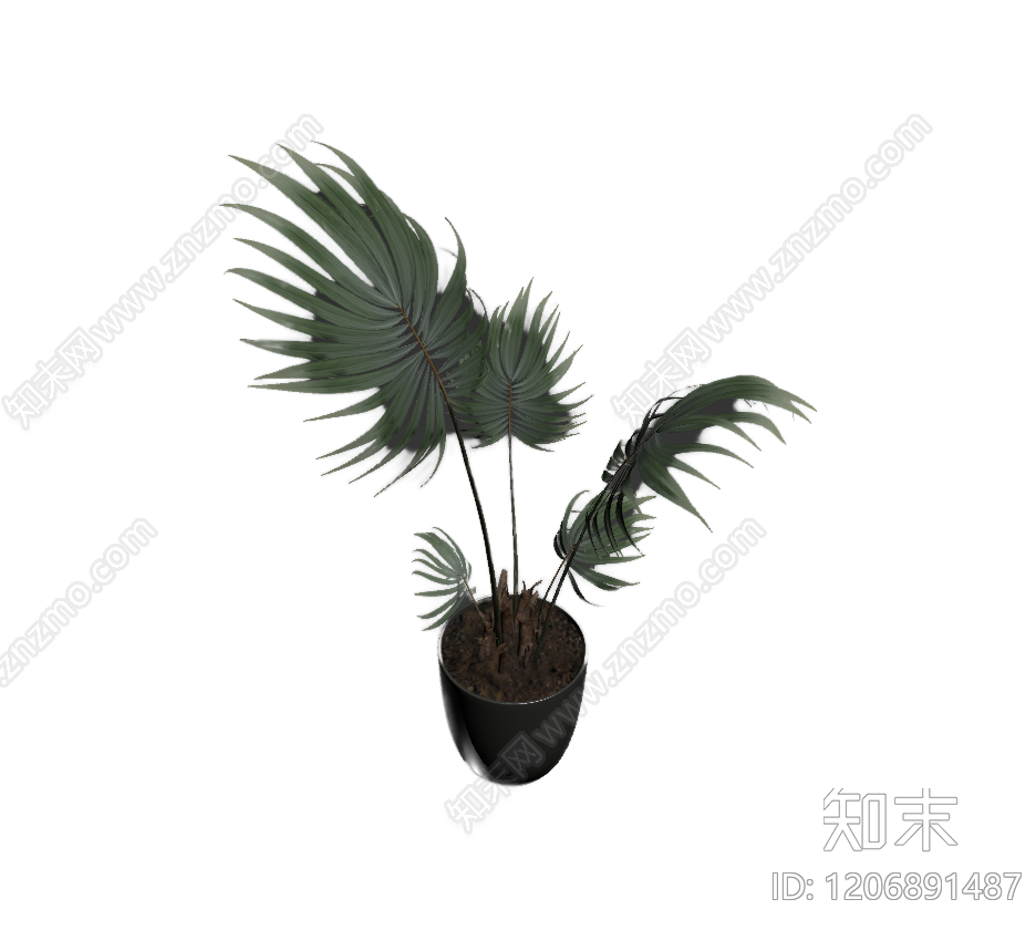 盆栽棕榈植物装饰3D模型下载【ID:1206891487】