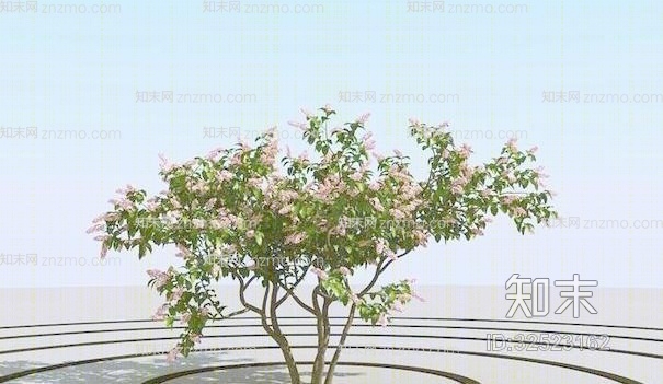 树373D模型下载【ID:32523162】