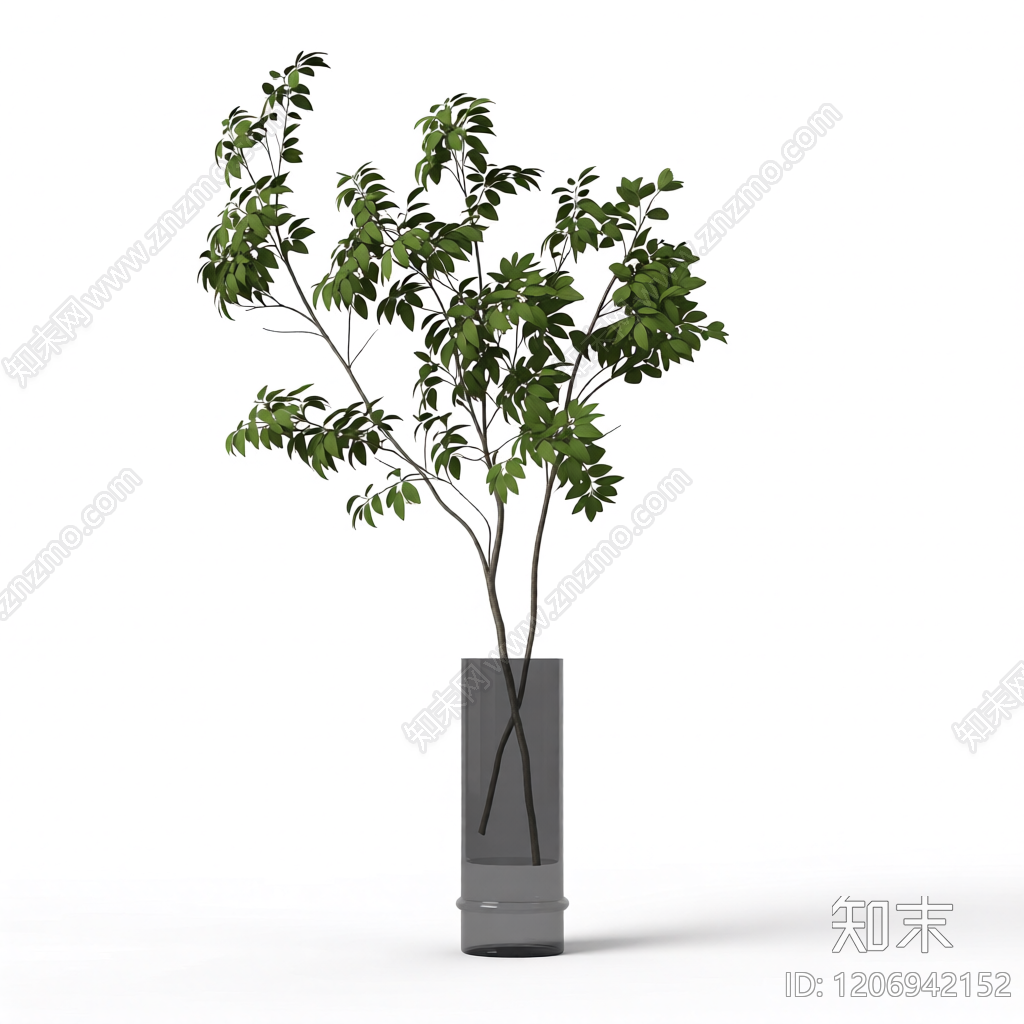 盆栽植物装饰3D模型下载【ID:1206942152】