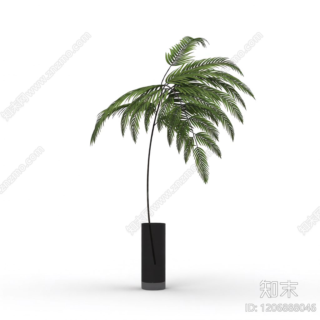 盆栽蕨类植物3D模型下载【ID:1206888046】
