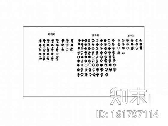 园林植物图库施工图下载【ID:161797114】