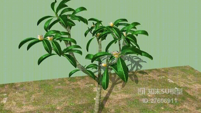 树SU模型下载【ID:119316608】