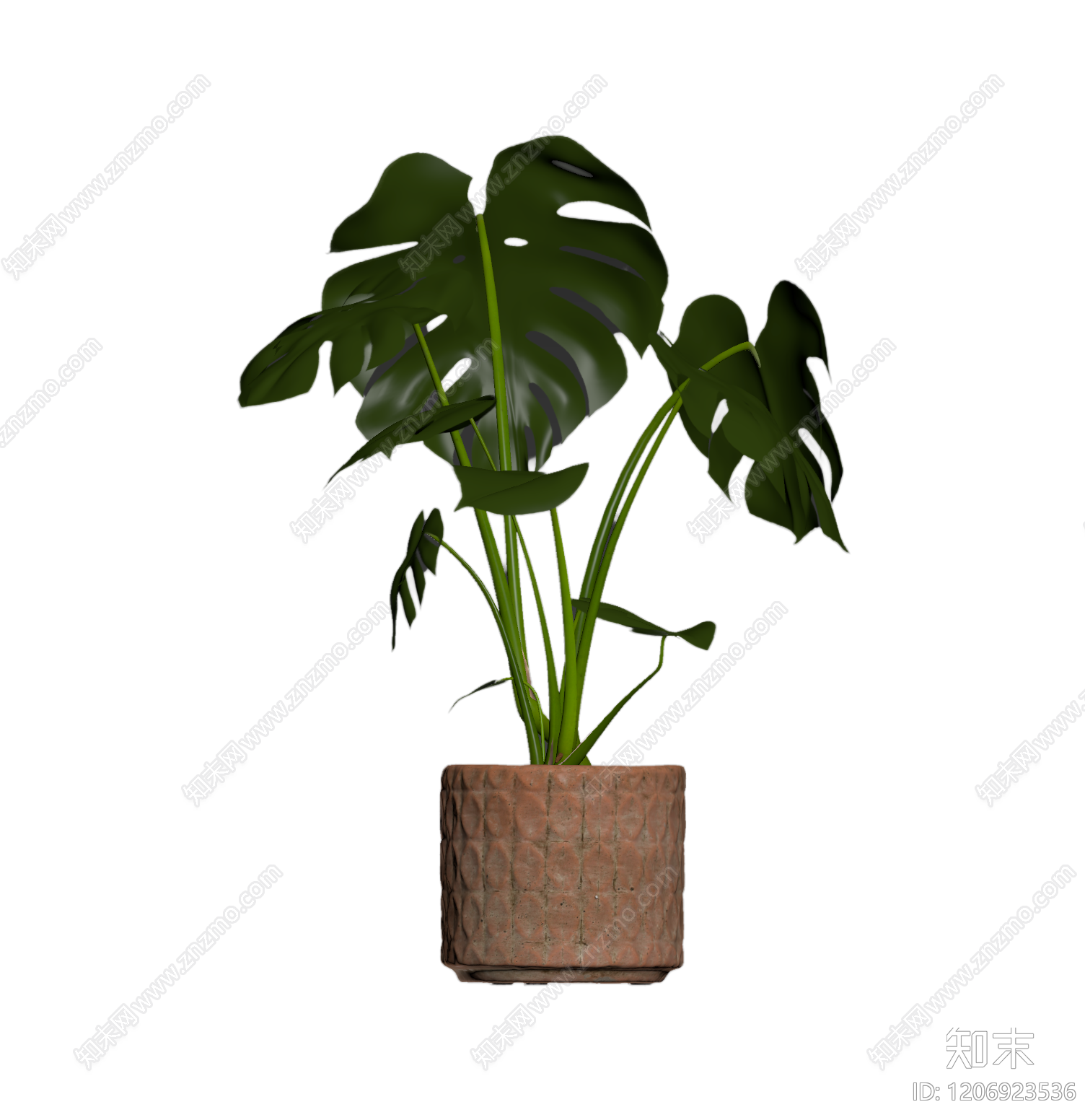 龟背竹盆栽装饰3D模型下载【ID:1206923536】