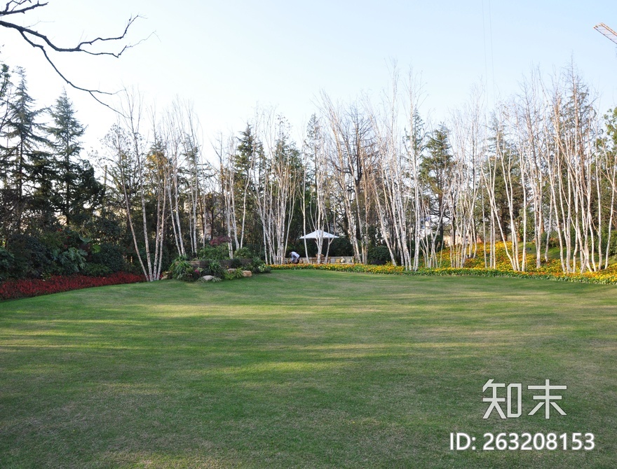 外景小区楼区窗外贴图下载【ID:263208153】