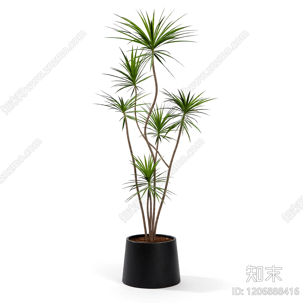 盆栽植物装饰3D模型下载【ID:1206888416】