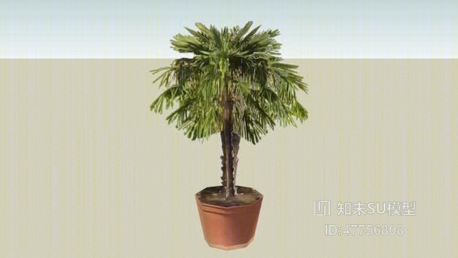 盆栽SU模型下载【ID:47756808】