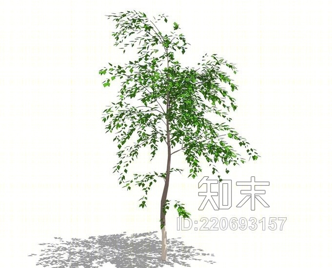 3D植物树SU模型下载【ID:220693157】