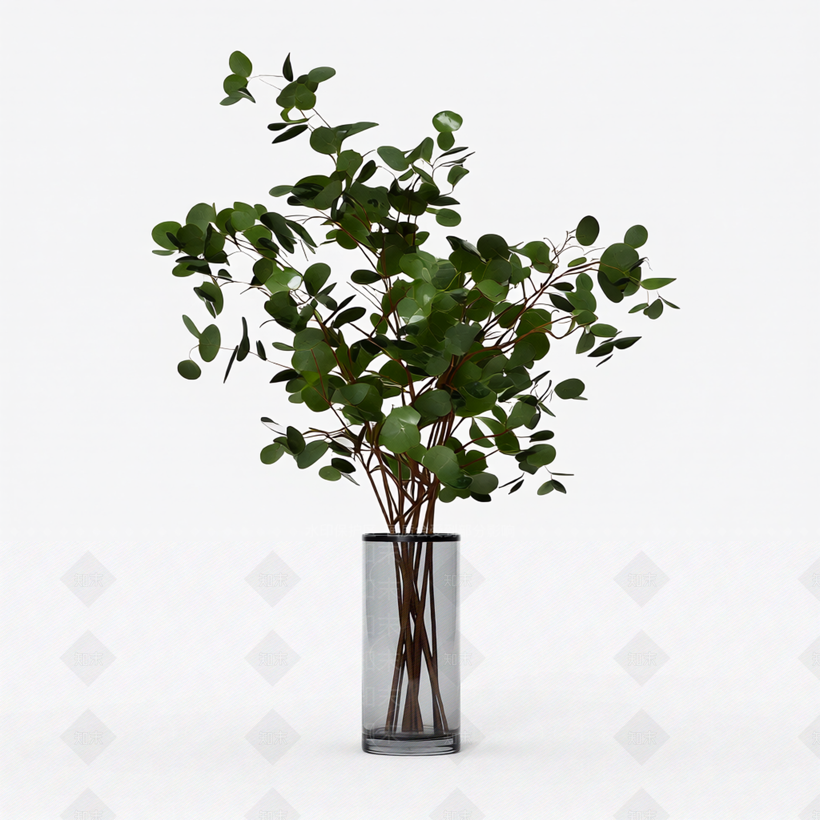 带盆圆形叶植物3D模型下载【ID:1206192173】