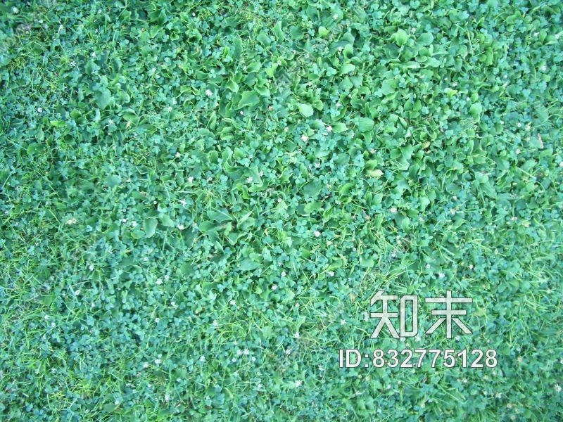 肌理贴图下载【ID:832775128】