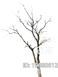 植被下载【ID:196806128】