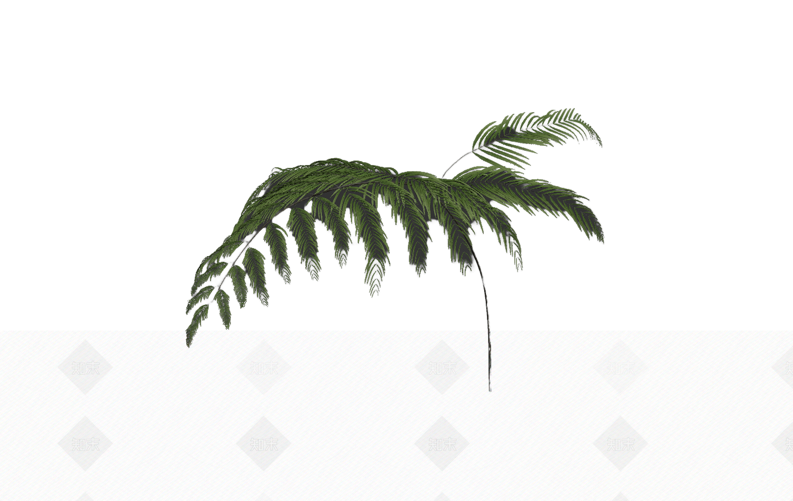 绿色枝叶植物模型3D模型下载【ID:1206186406】