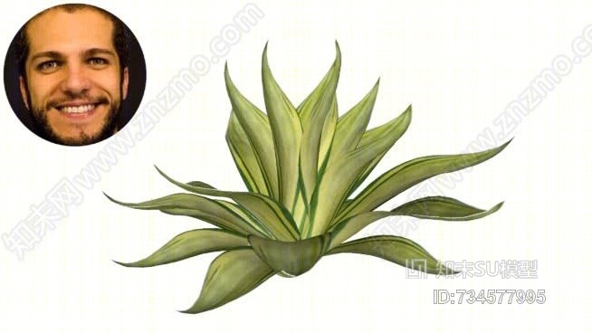 龙舌兰小号drag茫oSU模型下载【ID:734577995】