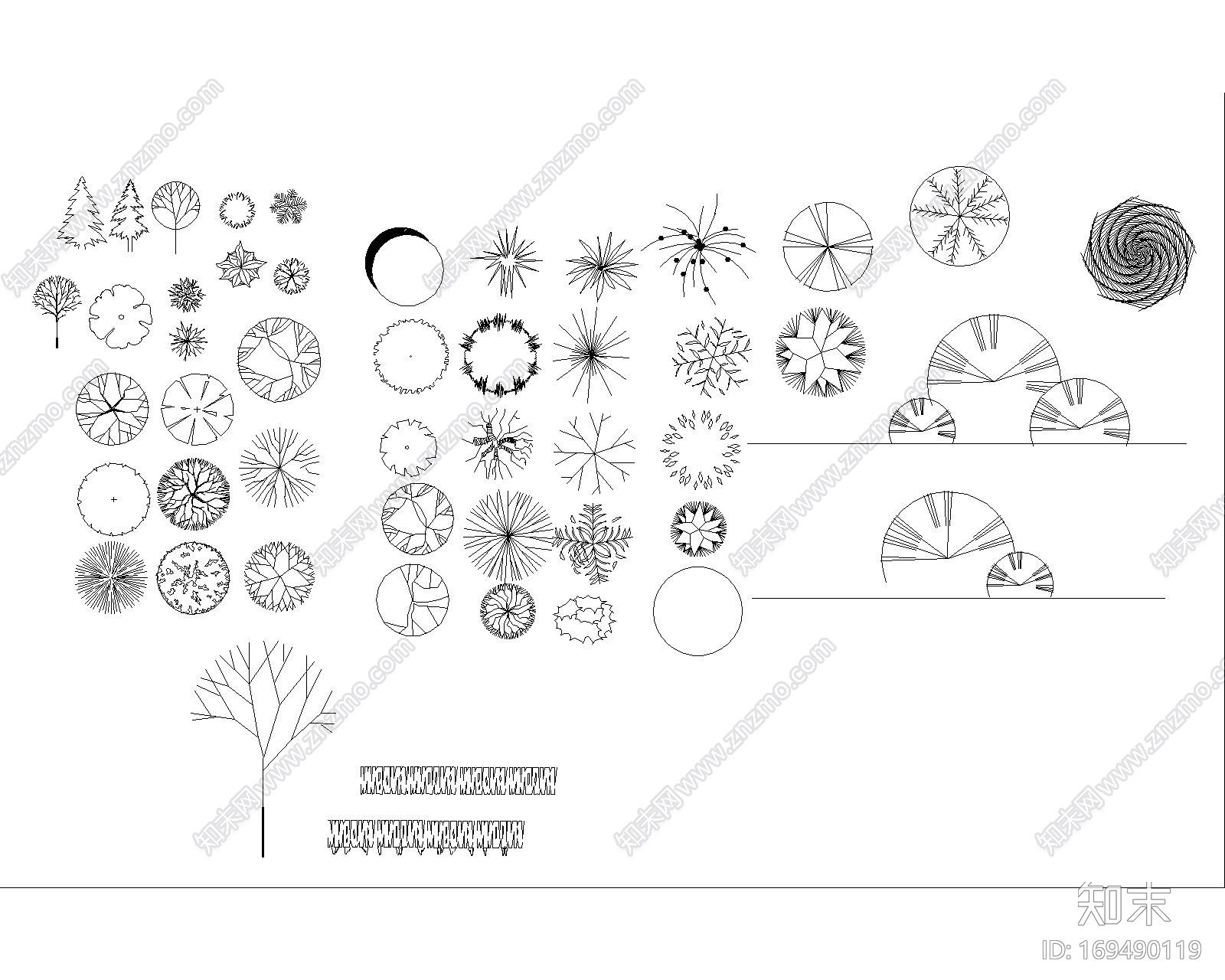 景观植物平立面CAD图库cad施工图下载【ID:169490119】