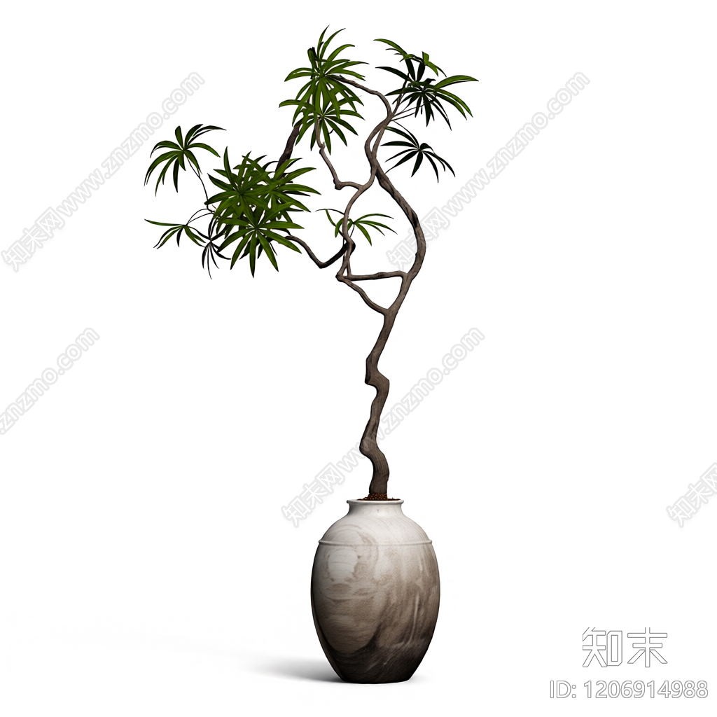 盆栽植物装饰3D模型下载【ID:1206914988】