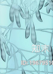 玻璃下载【ID:196795101】