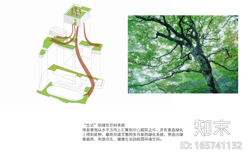 [江苏]昆山市玉山镇第一中心小学建筑设计方案文本施工图下载【ID:165741132】