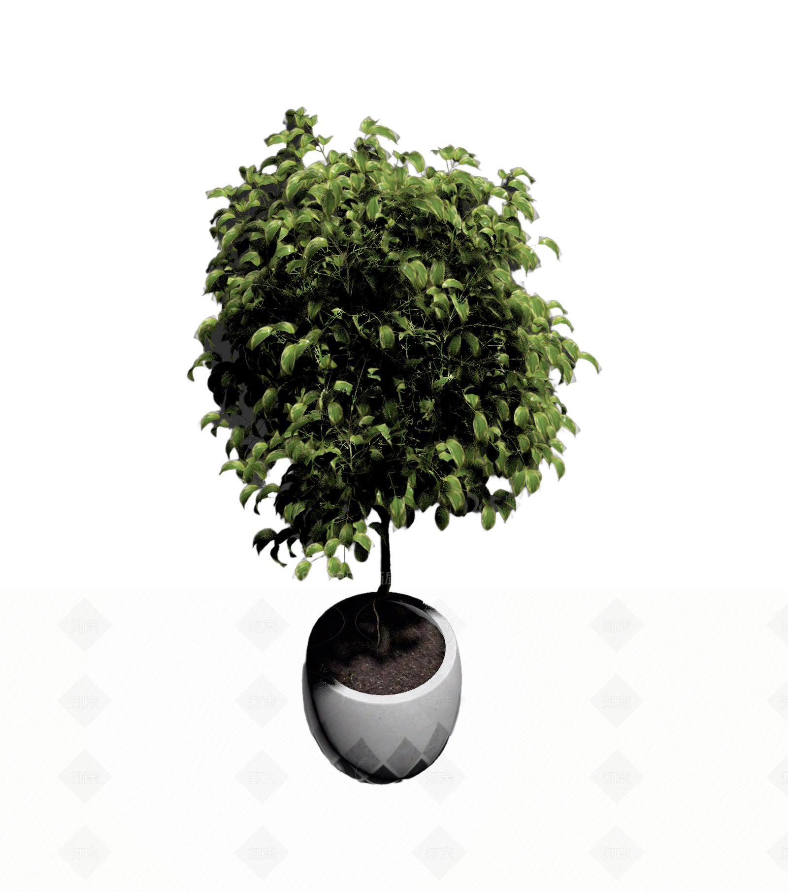带盆完整盆栽3D模型下载【ID:1206180736】