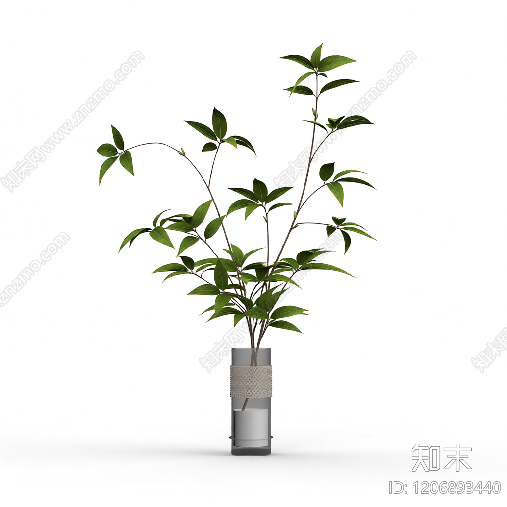 盆栽植物装饰3D模型下载【ID:1206893440】