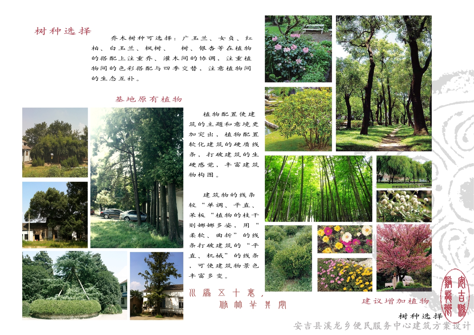 [浙江]湖州市安吉县溪龙乡便民服务中心建筑设计方案（...cad施工图下载【ID:149935182】