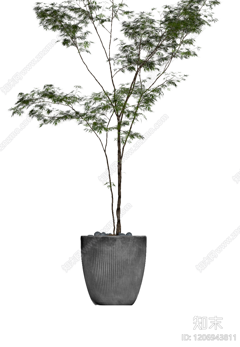 盆栽植物装饰3D模型下载【ID:1206943811】