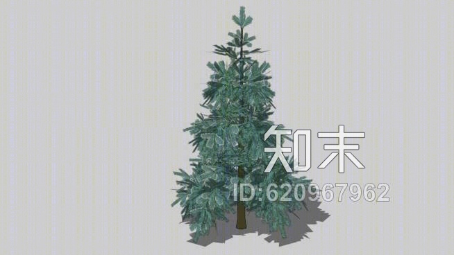 小松树SU模型下载【ID:620967962】