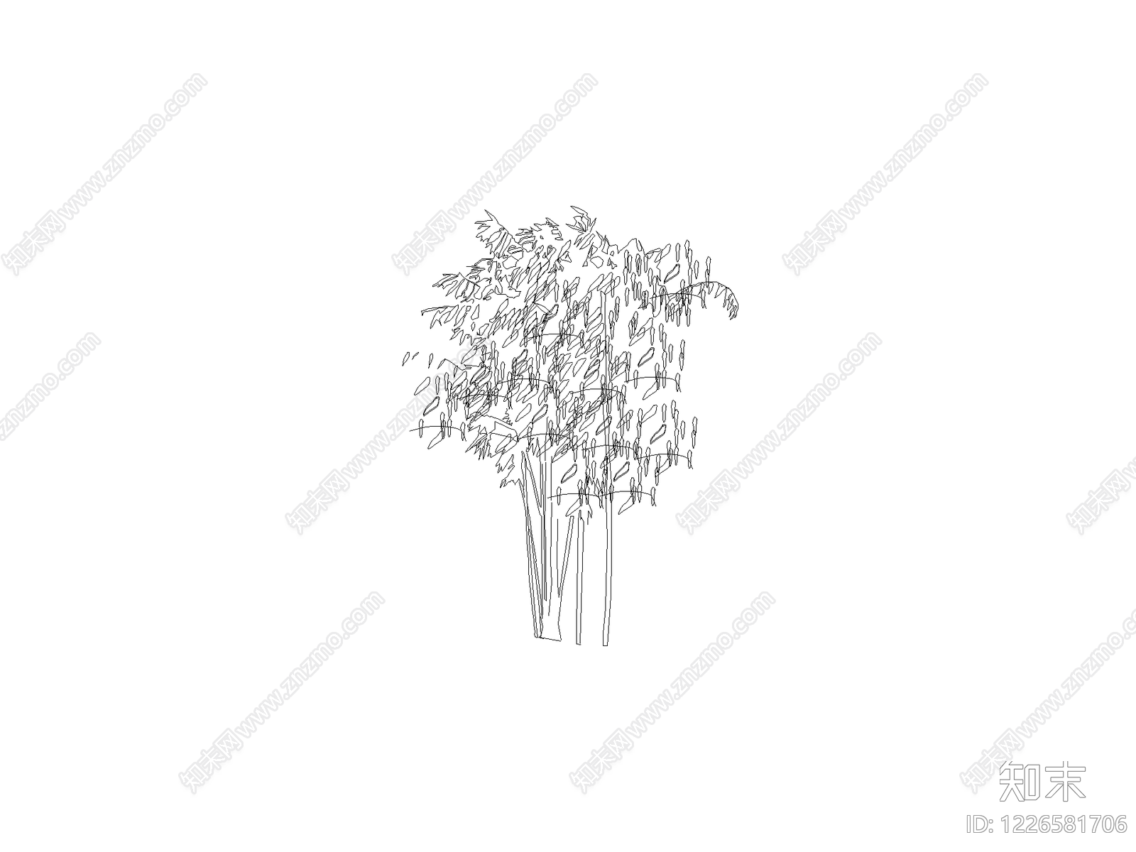 其他乔木种植CAD图纸