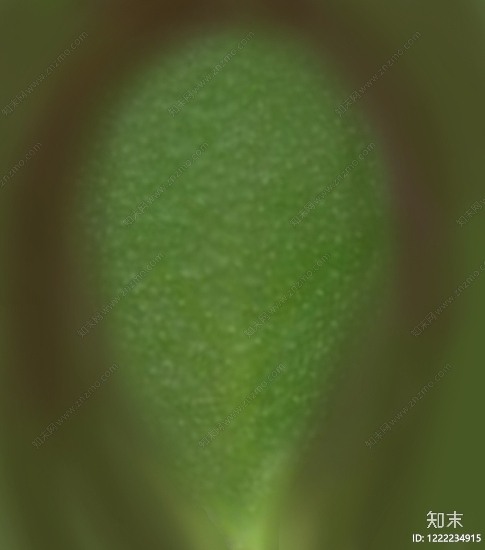 苔藓纹理高清贴图材质