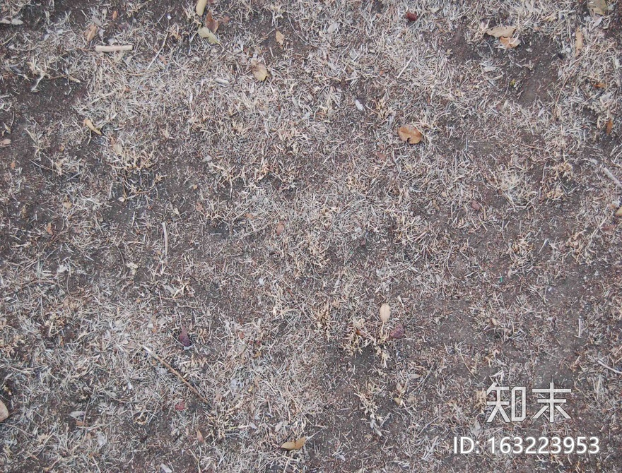 地面-草皮-0042.jpg贴图下载【ID:163223953】