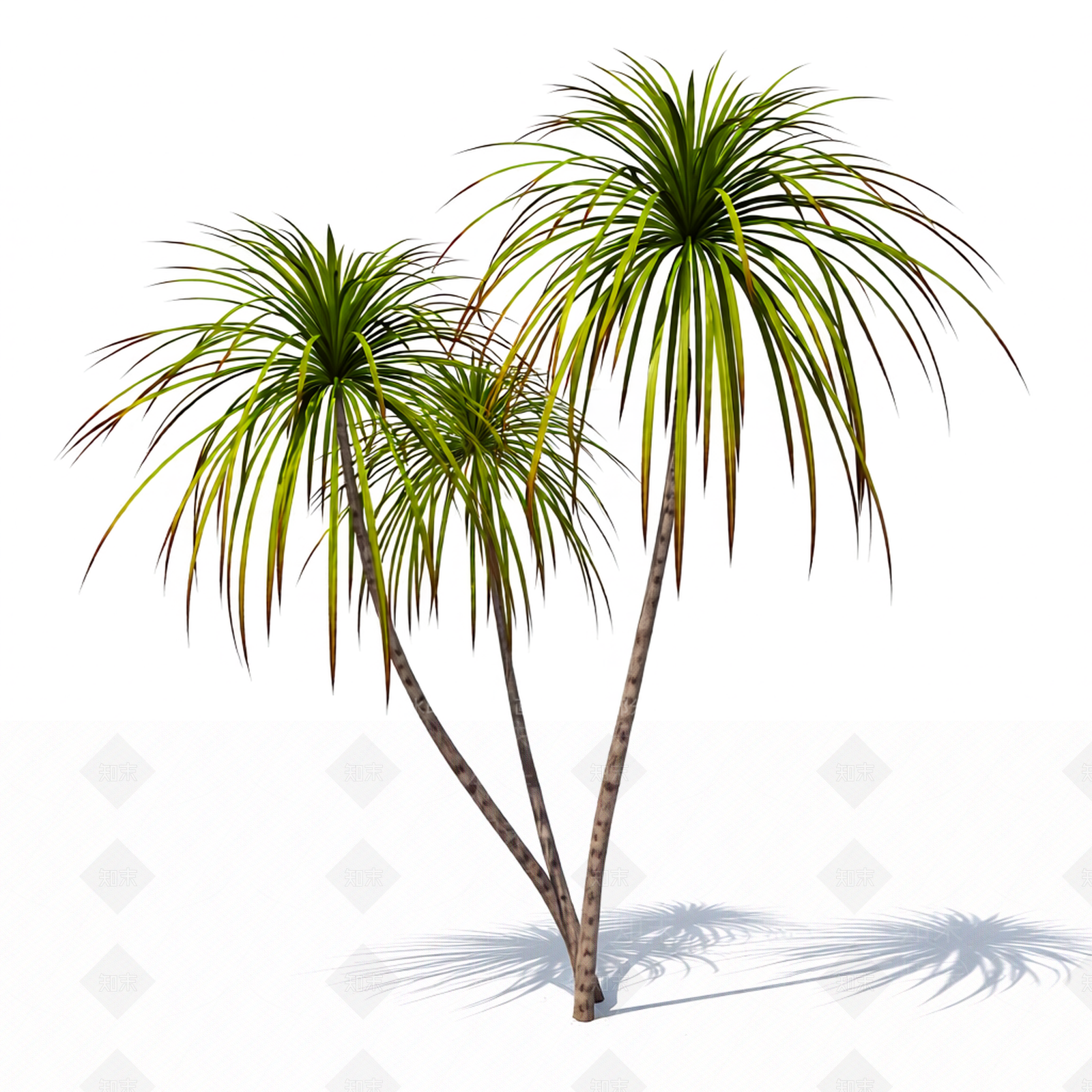 双株棕榈树模型3D模型下载【ID:1206188388】