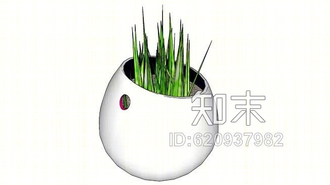 娇小的普兰特SU模型下载【ID:620937982】