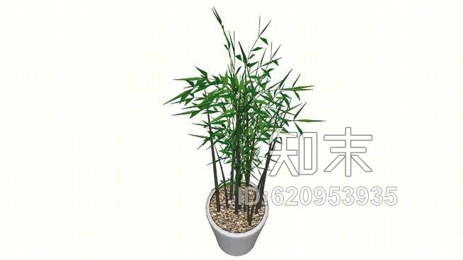 普兰特·维特·班巴SU模型下载【ID:620953935】