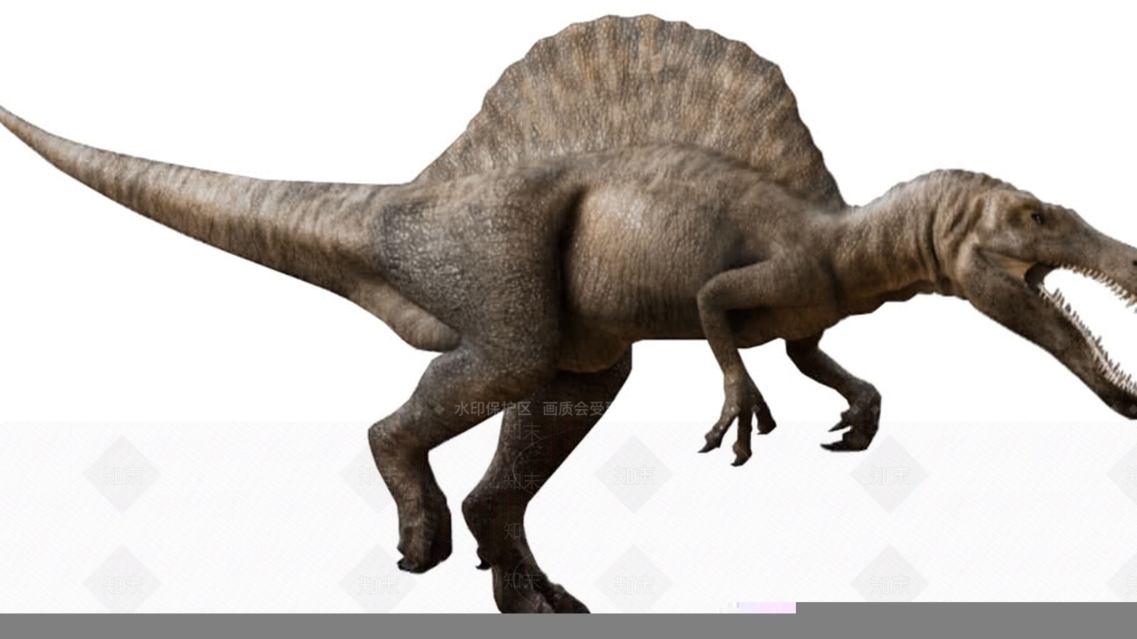 但这些二维SpinosaurusSU模型下载【ID:1161893516】