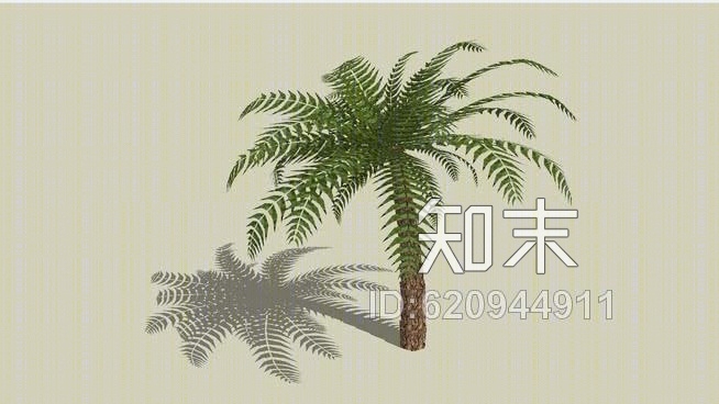 棕榈树SU模型下载【ID:620944911】