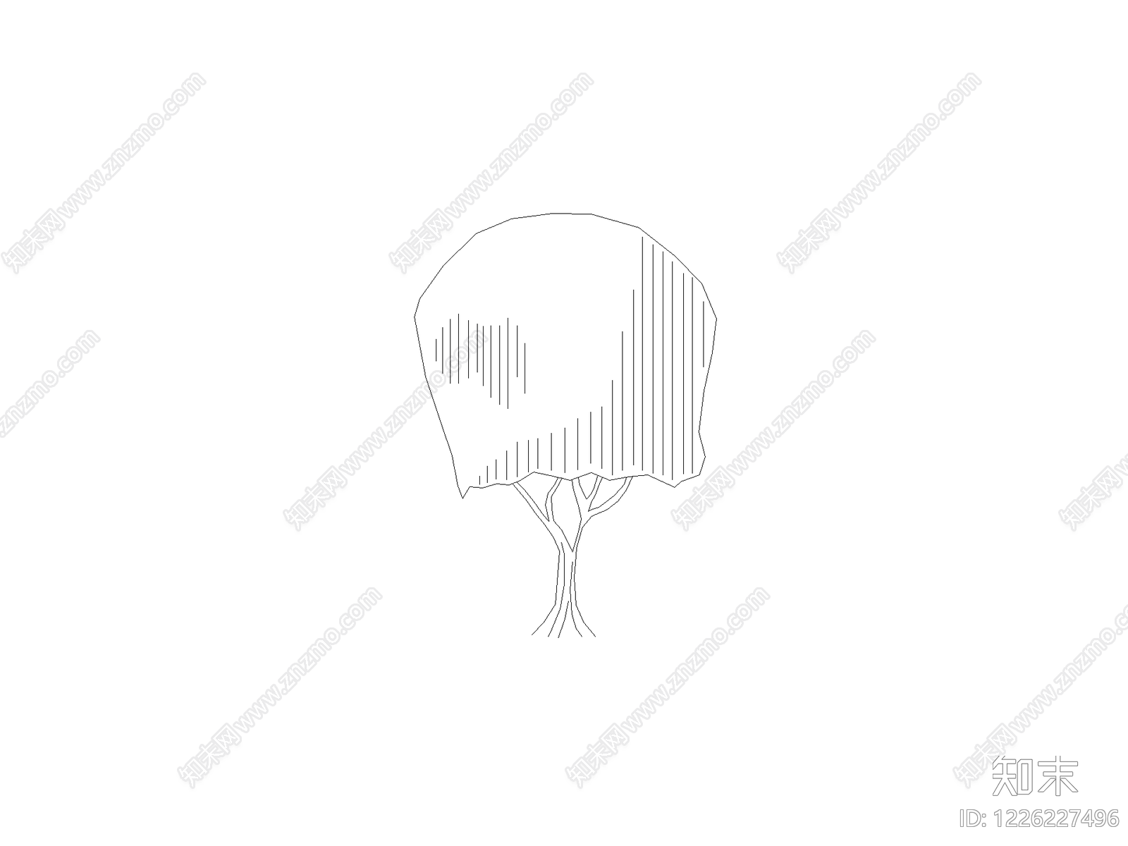 现代乔木种植CAD图纸