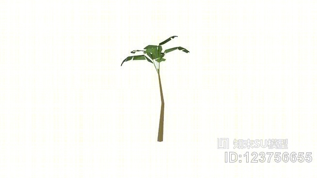 热带弯棕榈树30英尺SU模型下载【ID:123756655】
