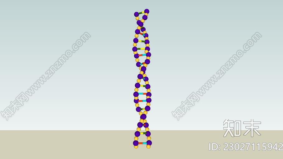 DNA结构SU模型下载【ID:1162484528】