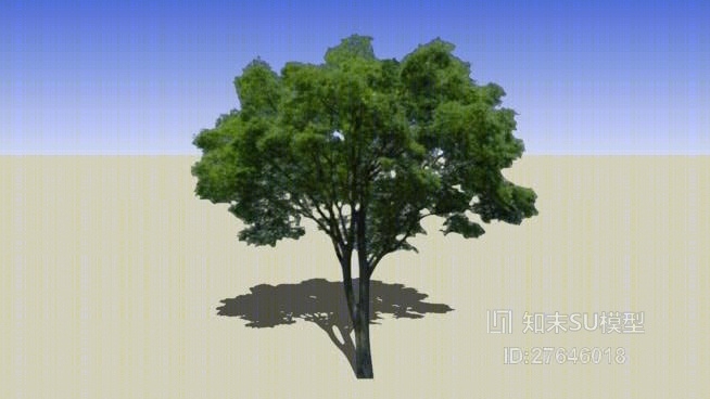 树SU模型下载【ID:27646018】
