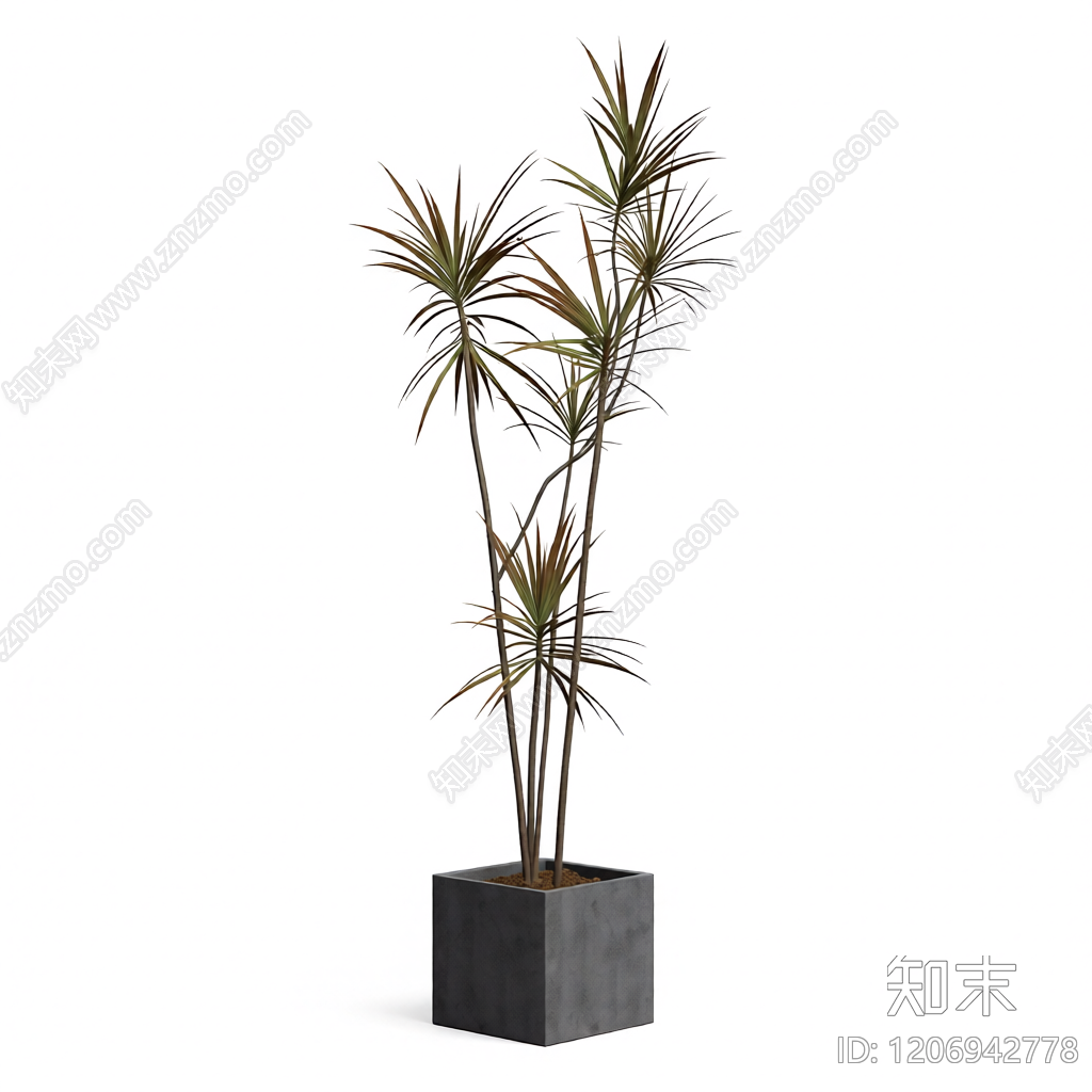 盆栽植物组合3D模型下载【ID:1206942778】