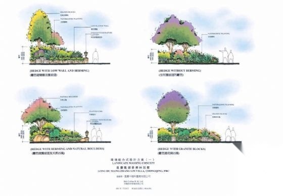 重庆知名地产香樟林概念设计方案cad施工图下载【ID:161112189】