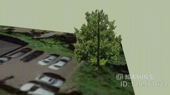 霍普霍尔停车场大树SU模型下载【ID:124971621】