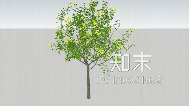 3D树SU模型下载【ID:120931633】