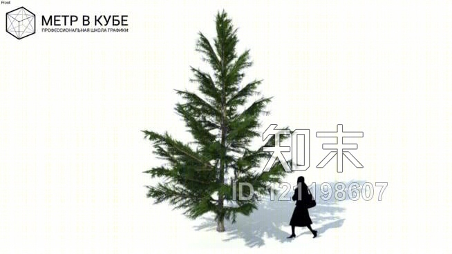 低维针叶树（047）SU模型下载【ID:121198607】