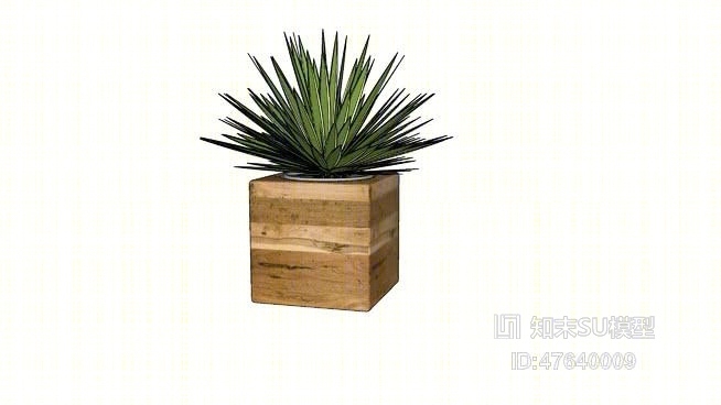 盆栽SU模型下载【ID:47640009】