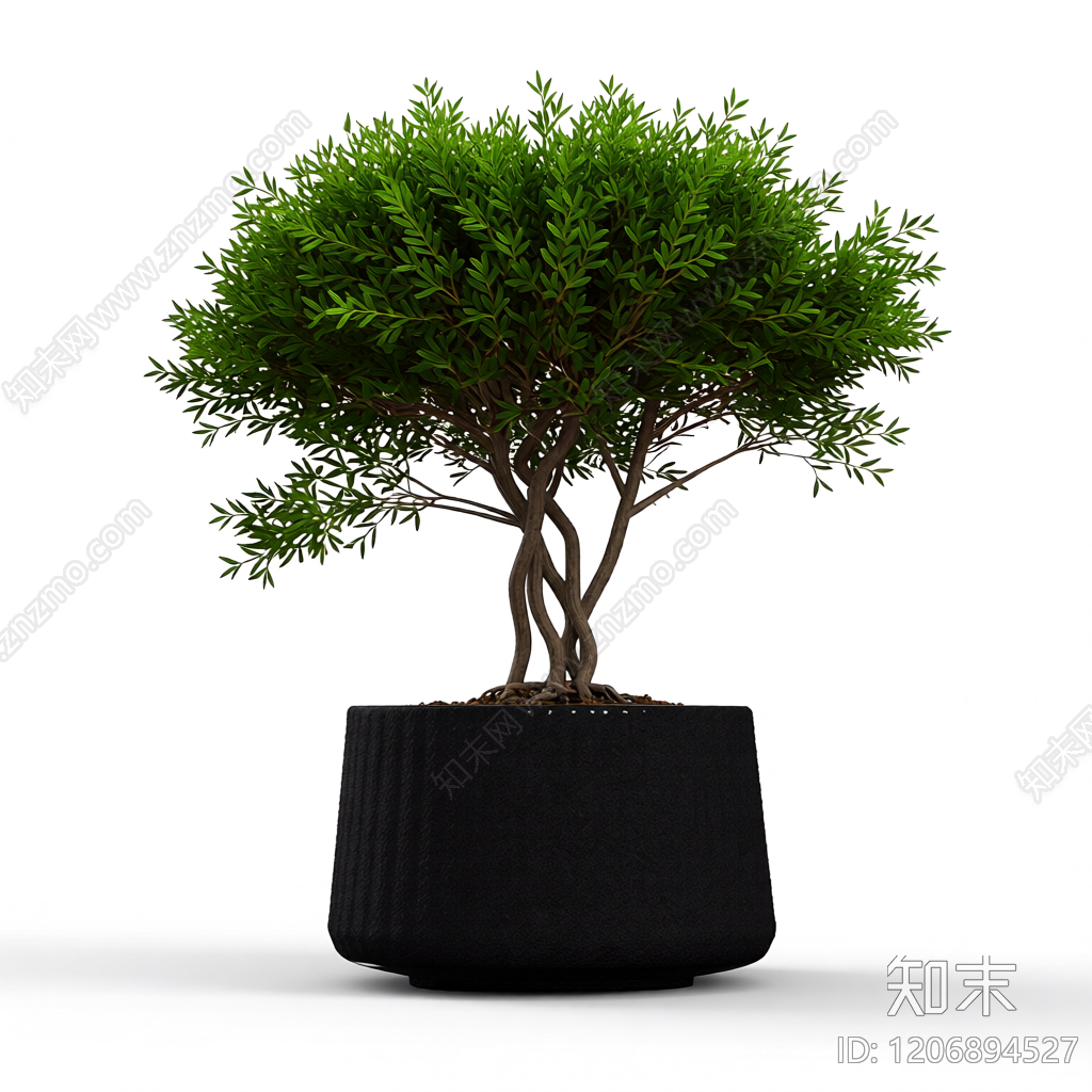 盆栽植物装饰3D模型下载【ID:1206894527】