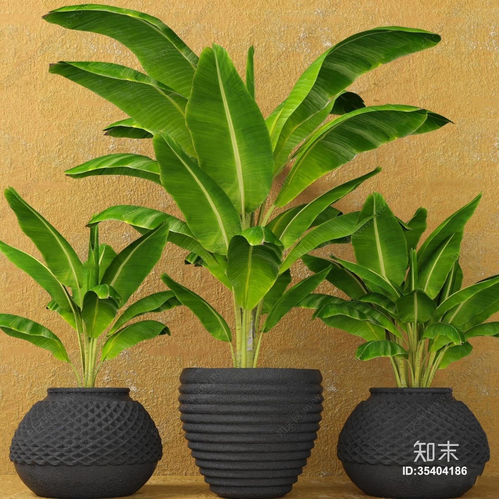 现代芭蕉盆栽组合3D模型下载【ID:35404186】