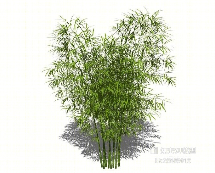 竹子SU模型下载【ID:26588012】