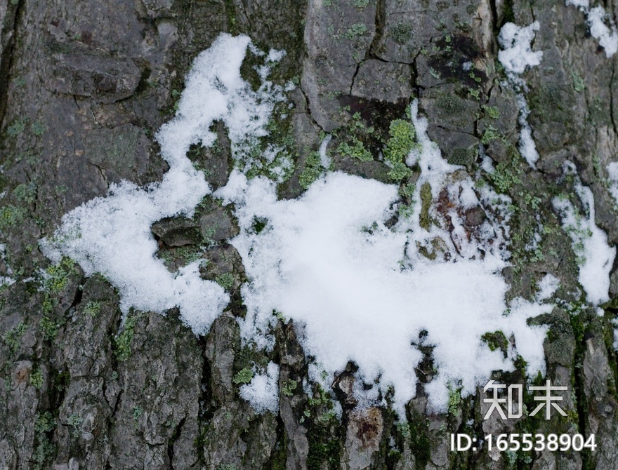 地面-雪地贴图下载【ID:165538904】