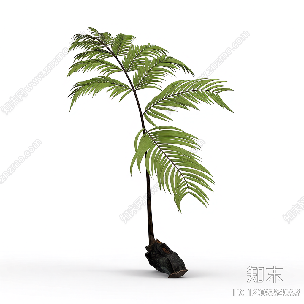 带盆棕榈树模型3D模型下载【ID:1206884033】